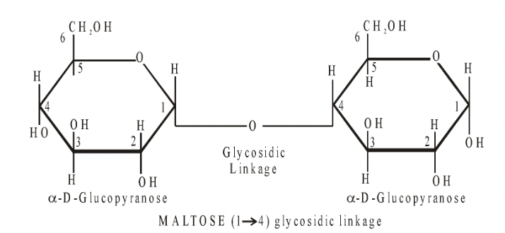 Sugar Part in Carbohydrates